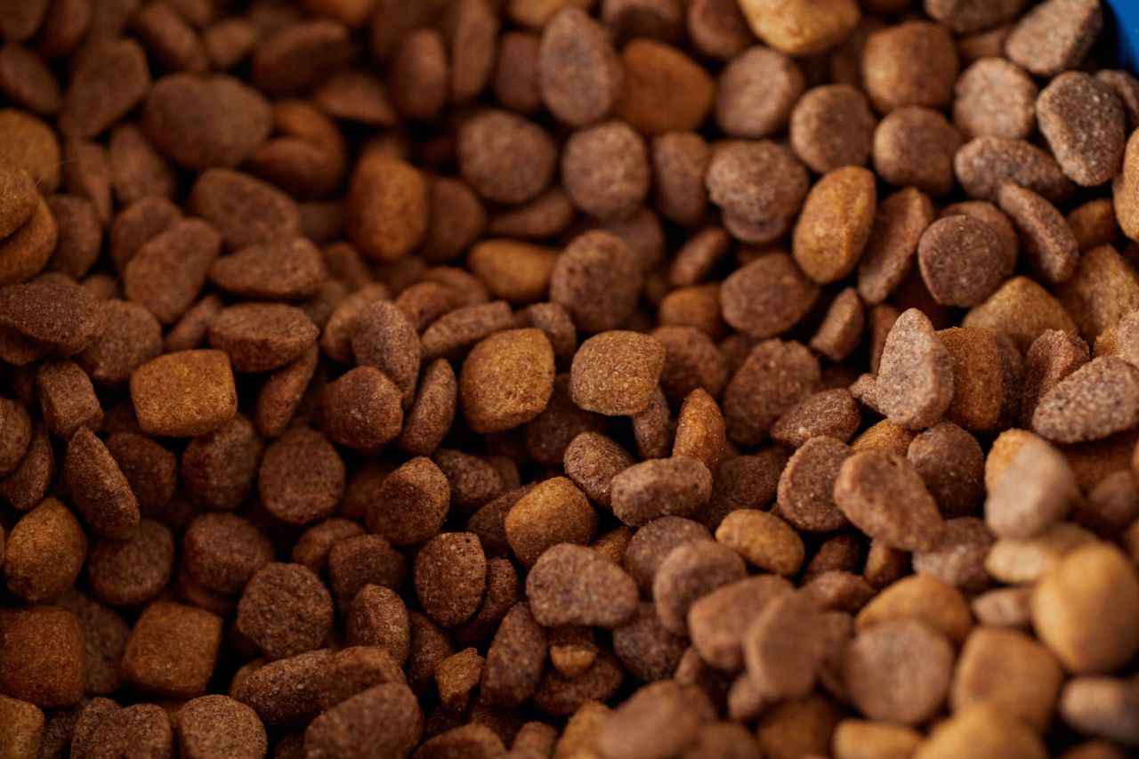 Close-up of extruded animal feed pellets